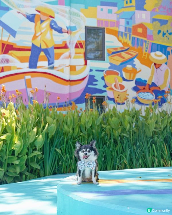 馬灣1868真係好靚,牆身滿滿嘅壁畫,彩色小屋,呢度可以飽覽...