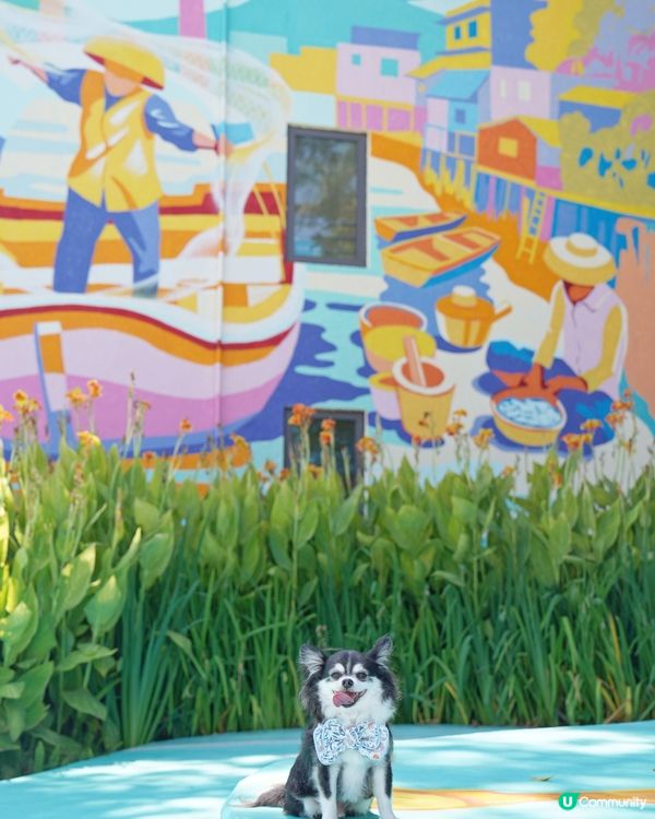 馬灣1868真係好靚,牆身滿滿嘅壁畫,彩色小屋,呢度可以飽覽...