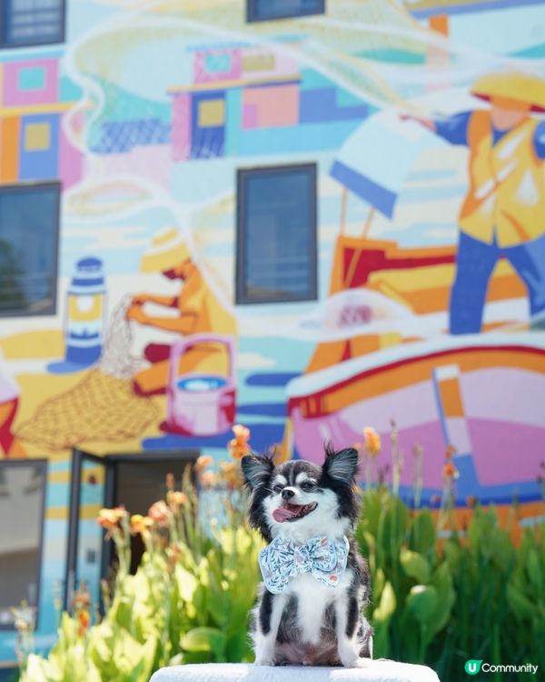 馬灣1868真係好靚,牆身滿滿嘅壁畫,彩色小屋,呢度可以飽覽...