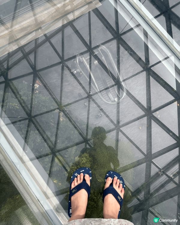 新加坡必去景點