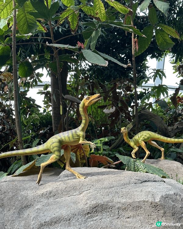 新加坡必去景點