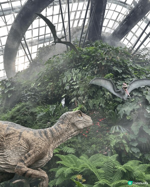 新加坡必去景點