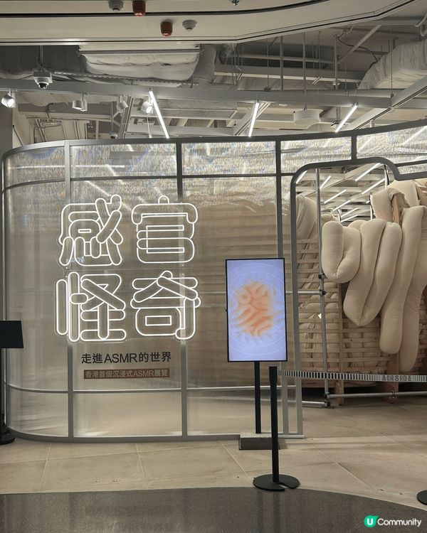 啟德既感官怪奇展，有好多關於ASMR既資訊同DIY，聽到好想...
