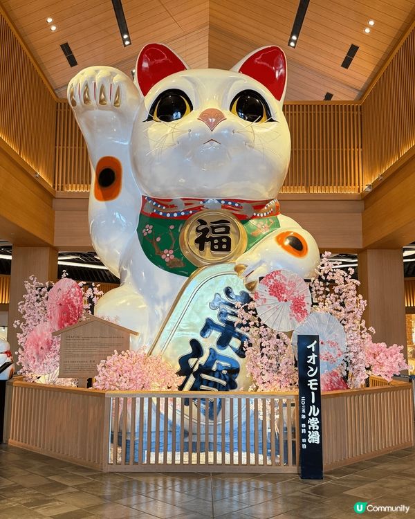 鍾意招財貓嘅朋友，去名古屋千祈唔可以錯過常滑市Aeon ma...