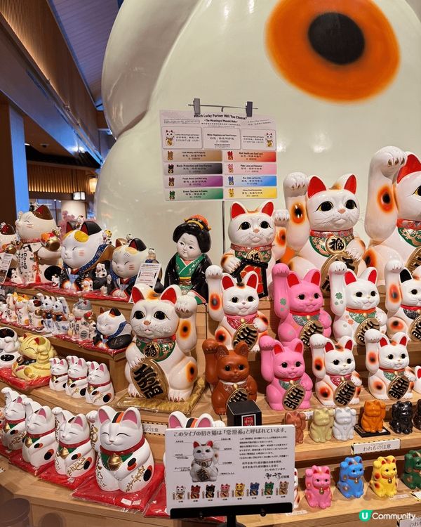 鍾意招財貓嘅朋友，去名古屋千祈唔可以錯過常滑市Aeon ma...