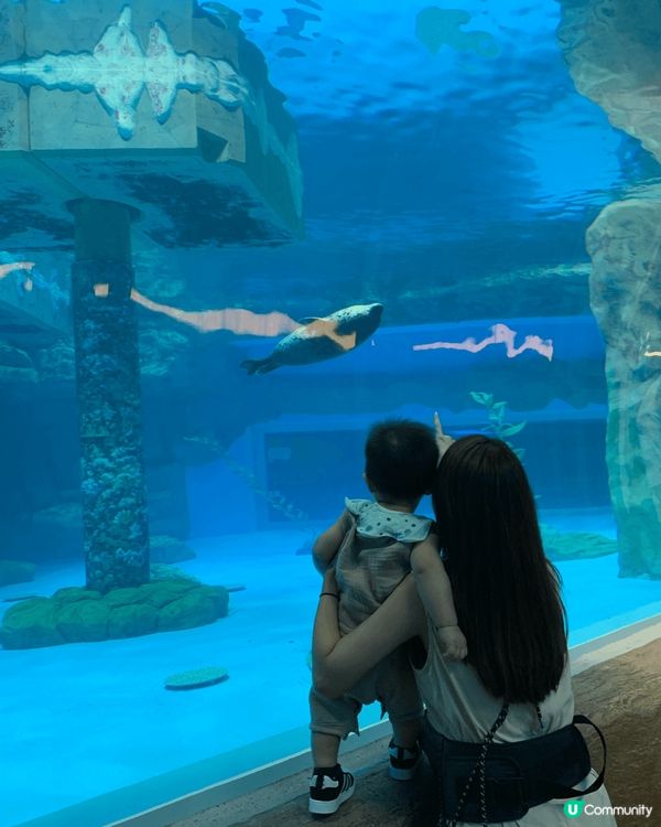 這是我旅行的一些精彩瞬間！每張照片都捕捉了我探索新地方的快樂...