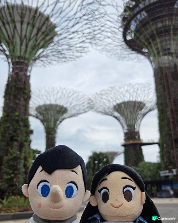 新加坡濱海灣公園，成功將城市同大自然融為一體，在繁忙的都市內...