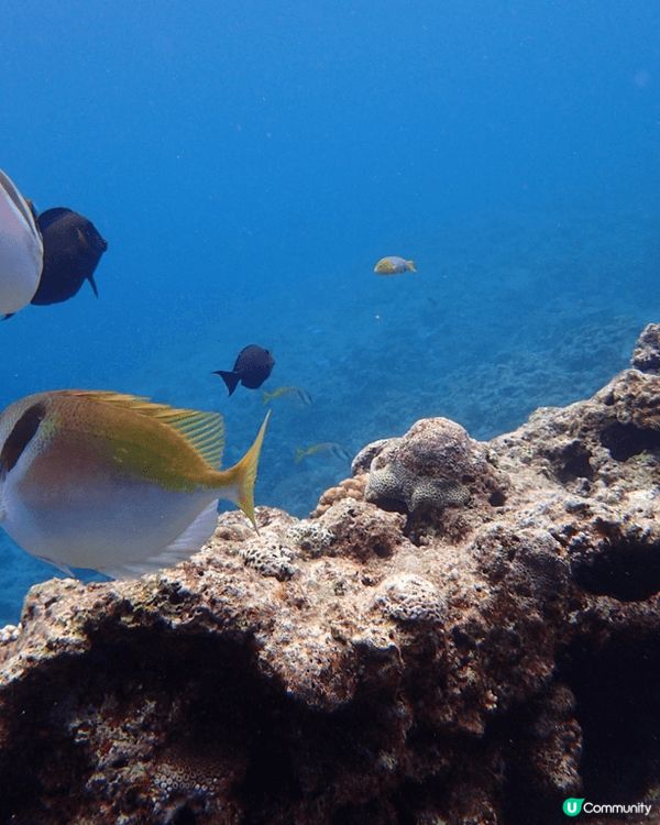 韓國 樂天世界  大人小朋友都岩玩