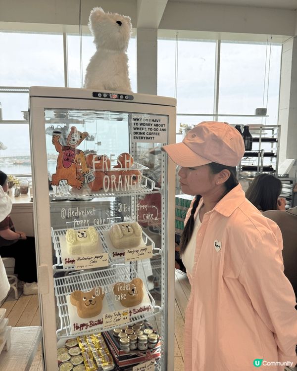 網路上大推濟州島的CAFE LAYERED小狗咖啡廳！白色簡...