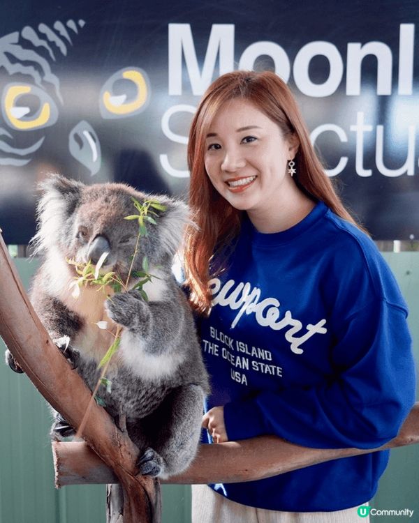 好想同U Lifestyle朋友分享我嘅澳洲之旅🇦🇺！當大家...