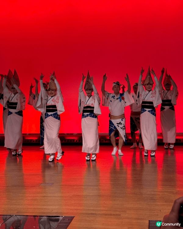 日本德島縣阿波舞會館，來到四國德島必到景點，欣賞這種傳統舞蹈...