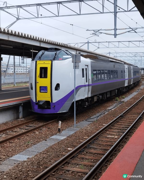 2025年5月北海道小樽之行，天氣怡人，溫度清爽，也有很多美...