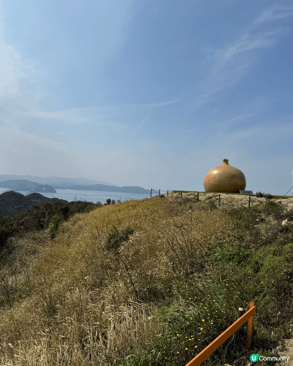 日本德島嗚門漩渦，洋蔥🧅山比較出名，嗚門旋渦真係幾好睇，去到...