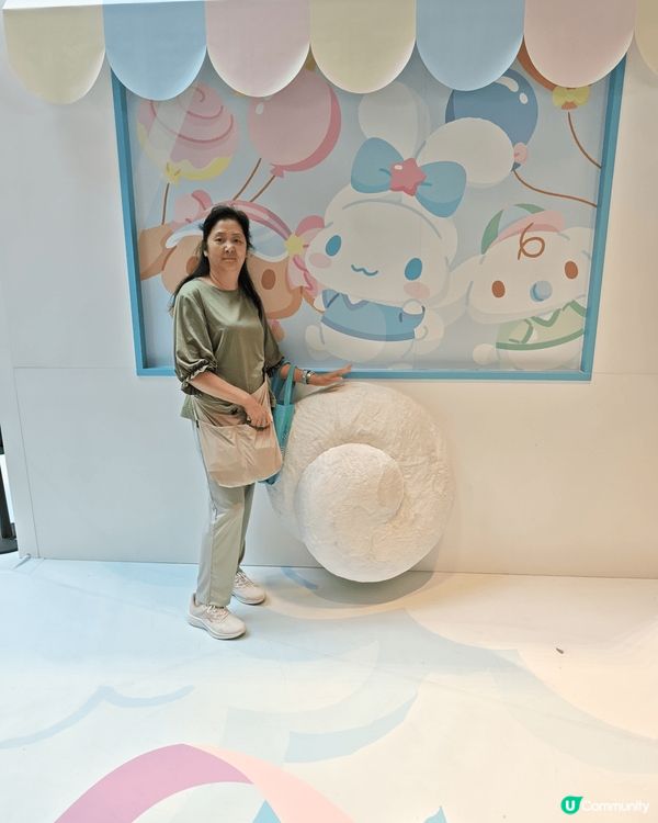 主要是留港旅遊，參觀。有北角扳道、國安展覽廳及肉桂狗展覽地。...