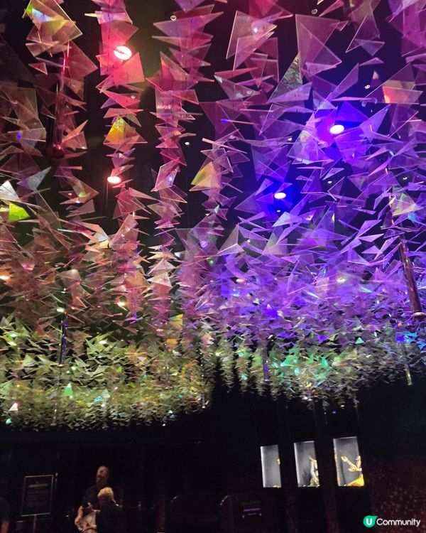 去到美國拉斯維加斯一定不少得去睇show ✨️