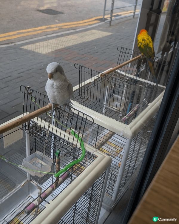 1) Smile at Wanchai cafe, 2)Ca...