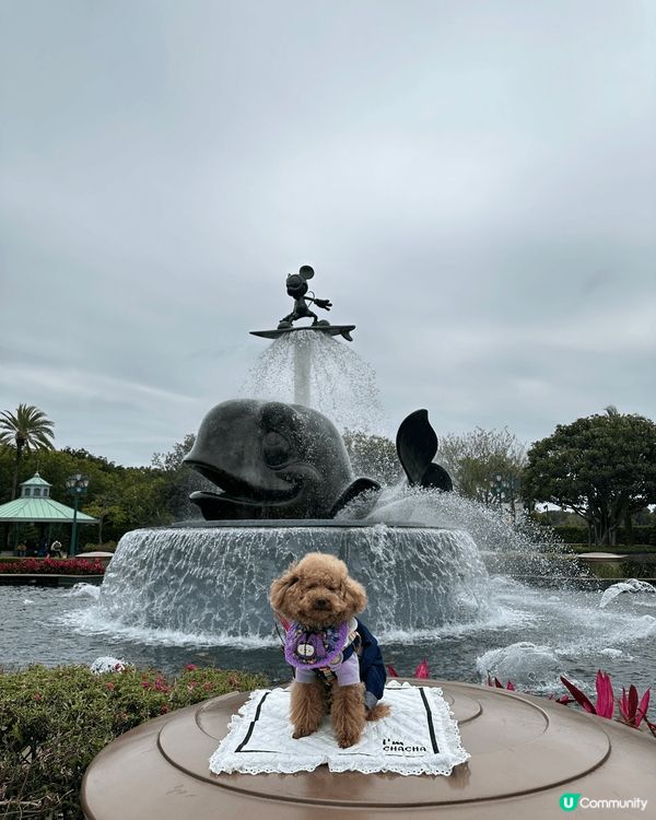 無論係本地旅遊或者係出境旅遊，都上網做足功課搵曬資料！加上天...