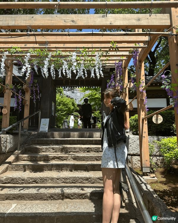 📍東京必訪！日本最美御朱印×花手水聖地——法輪寺🫧🌸✨ ...