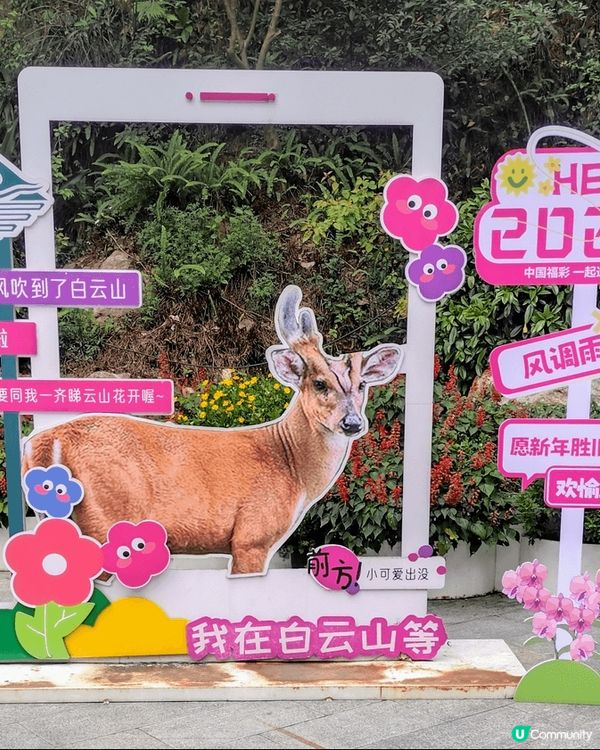 咁多次去廣州, 都係第一次影廣州地標五羊石, 第一次乘吊車即...