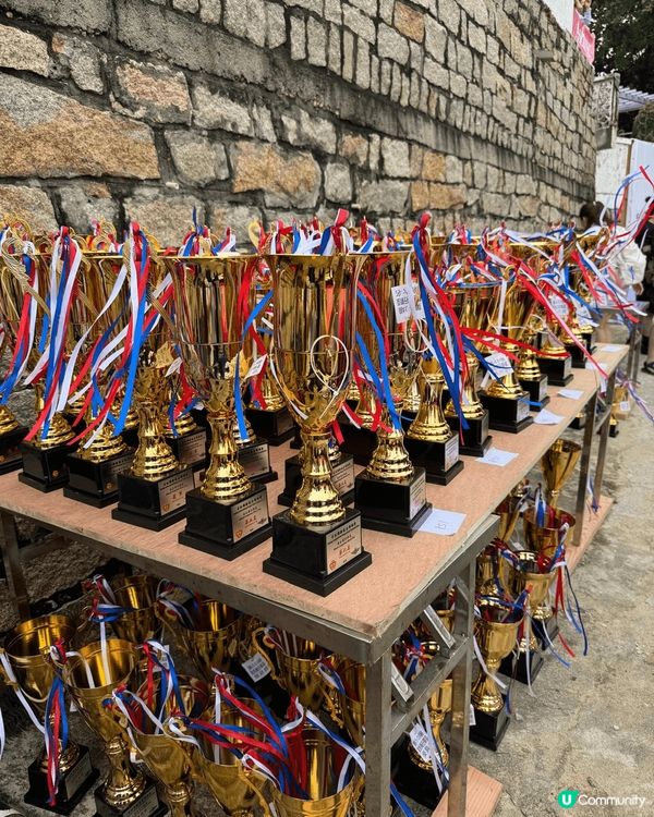 2025年5月31日端午節當日, 我與家人到赤柱正灘觀賞龍舟...