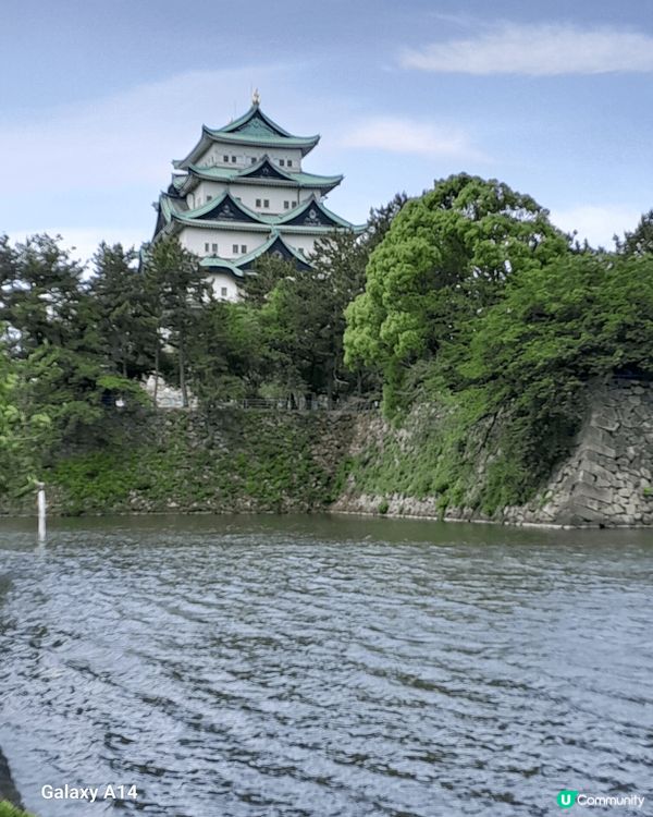 5月份的名古屋之旅，正是紫陽花的時候，五顔六色的紫陽花非常漂...