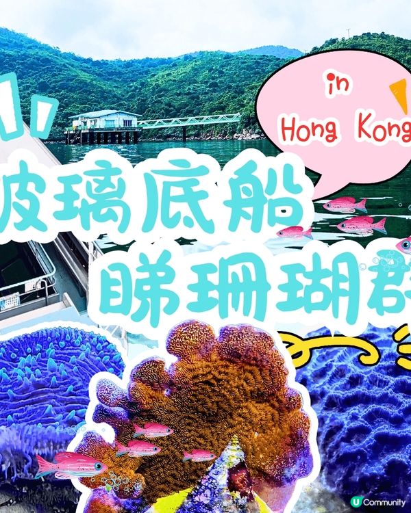 泰國Feel? 香港珊瑚群😍！