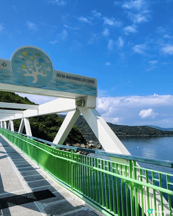 泰國Feel? 香港珊瑚群😍！