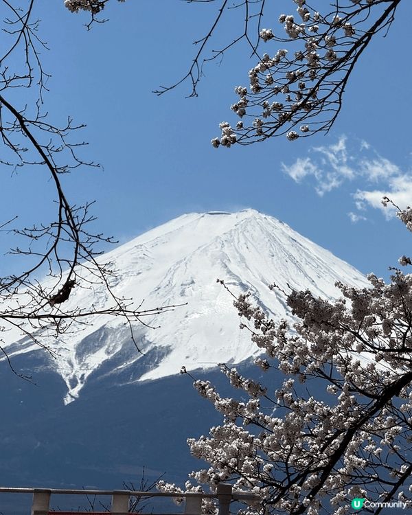 難得的旅行，看見天色非常好，能夠清晰的看見富士山，更加難得是...