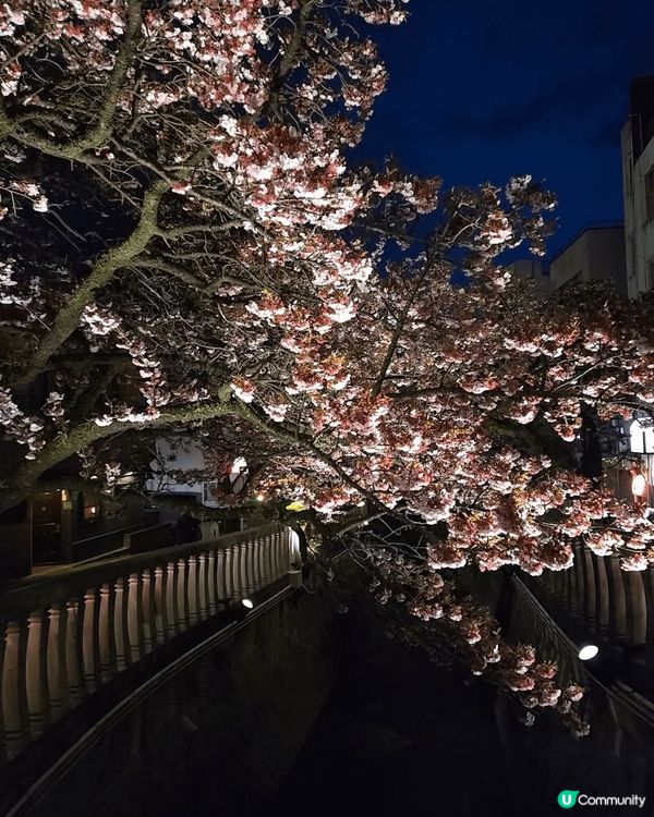好想再去日本旅行啊！雖然我去過好多次日本，但係每次都有新發現...