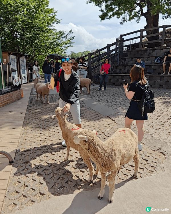 #踏入KOOZA奇幻之旅