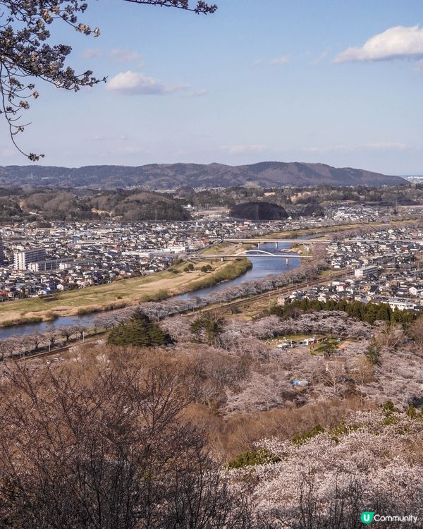 今年的櫻花季選了傳說中的東北絕景！