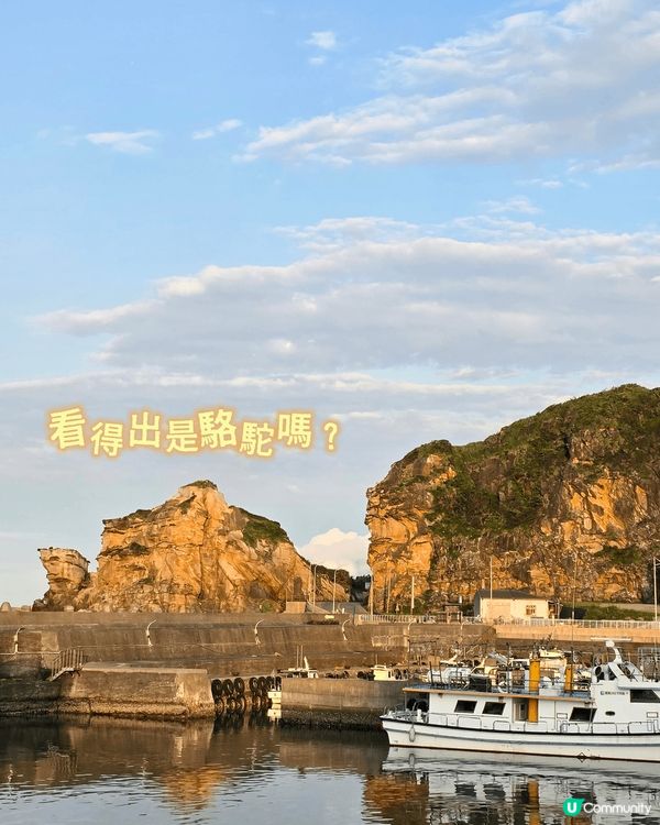 台灣| 超靚✨觀海視野👀🌊