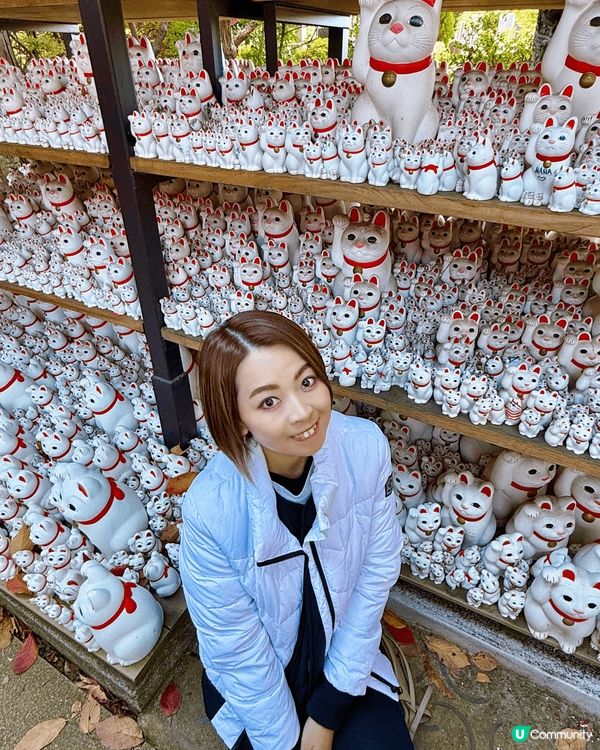 日本真係一個點影都靚嘅地方🩵