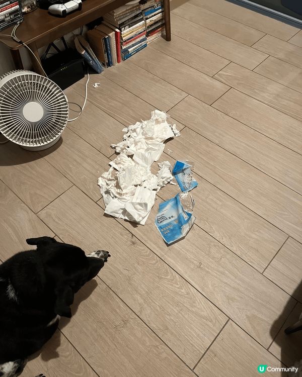 尋找生活一點甜