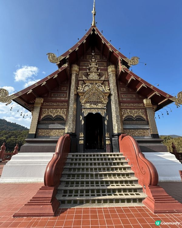 這個位青邁的打卡點，有好多特色建築物比人打卡，好靚，行了2小...