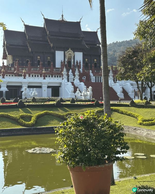 這個位青邁的打卡點，有好多特色建築物比人打卡，好靚，行了2小...