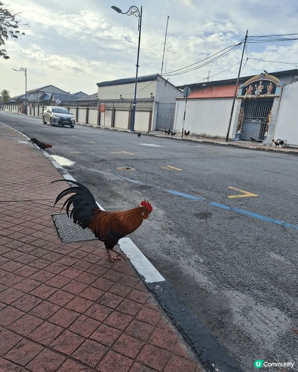 檳城係我一次踏足嘅地方，嗰度嘅市民對旅客非常熱情，輕輕鬆鬆，...