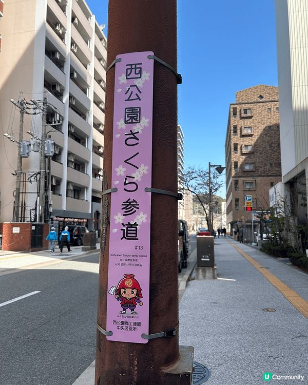 今年四月去了日本福岡賞櫻，在100円店買了地墊放在草地上，邊...