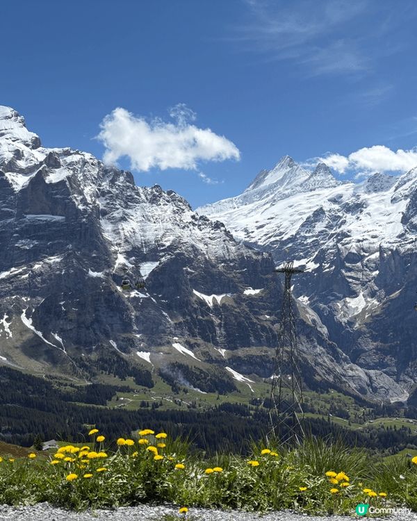 瑞士之旅，令人讚嘆不絕，風景如畫，空氣清新，唯一美中不足就是...