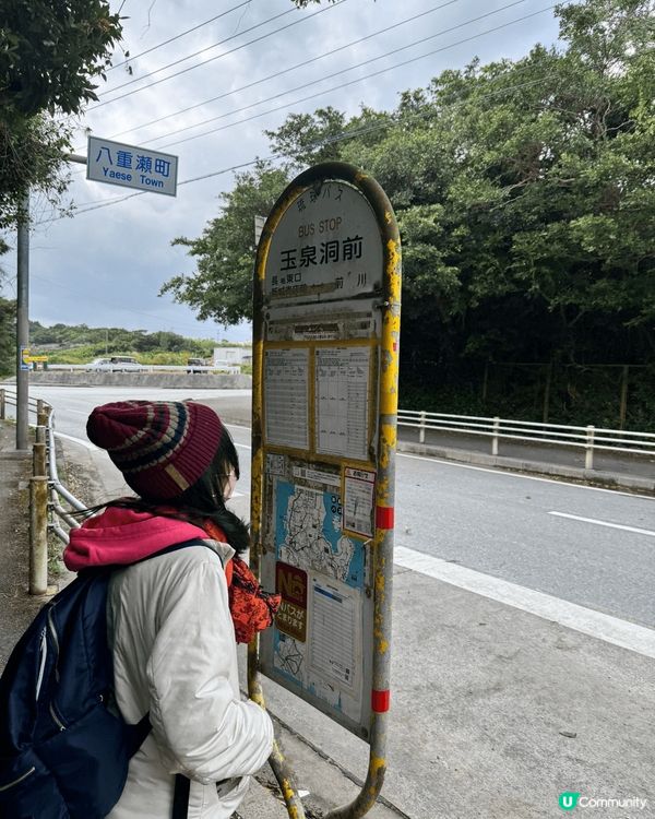 幾個家庭組合遊沖繩，去了風景超靚的萬座毛、遊覽水族館，自駕遊...