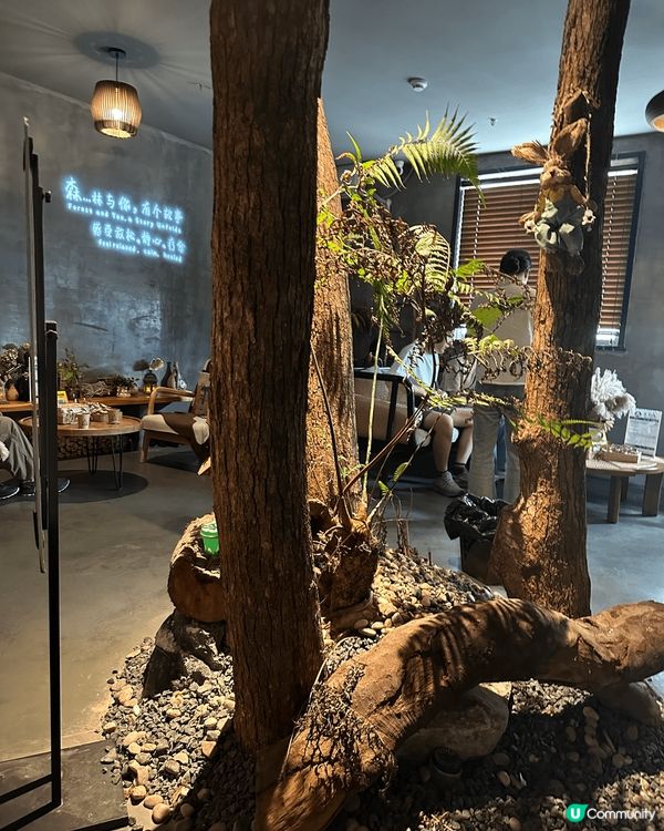 估唔到深圳韓燒都咁出色，飲飽食醉再按摩人生一大樂事