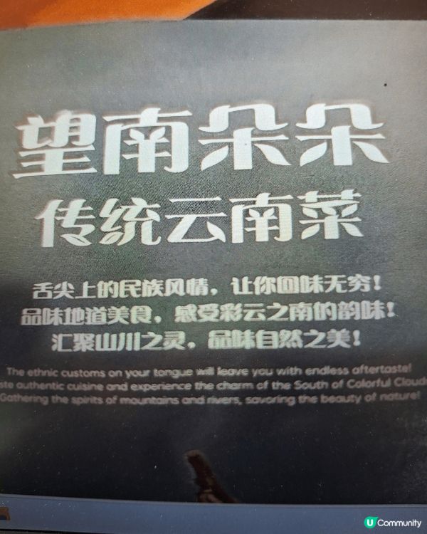 云南望南朵朵餐廳，非常地道，又有表演，性價比甚高