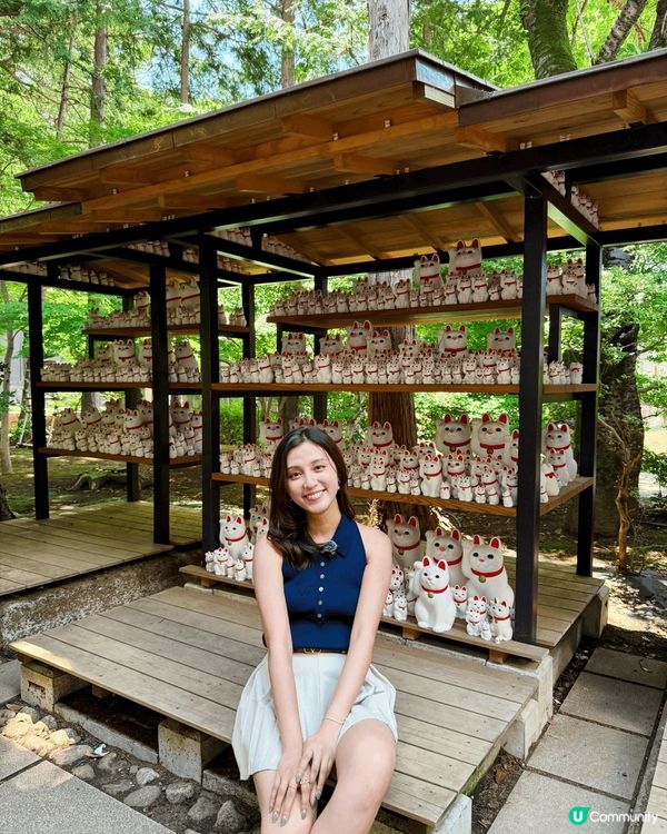 日本東北必去豪德寺！超可愛招福貓😆