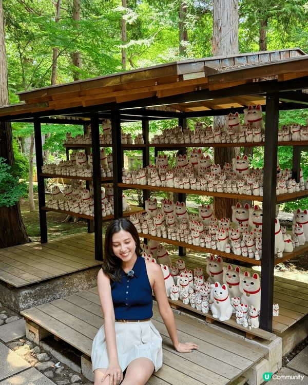 日本東北必去豪德寺！超可愛招福貓😆
