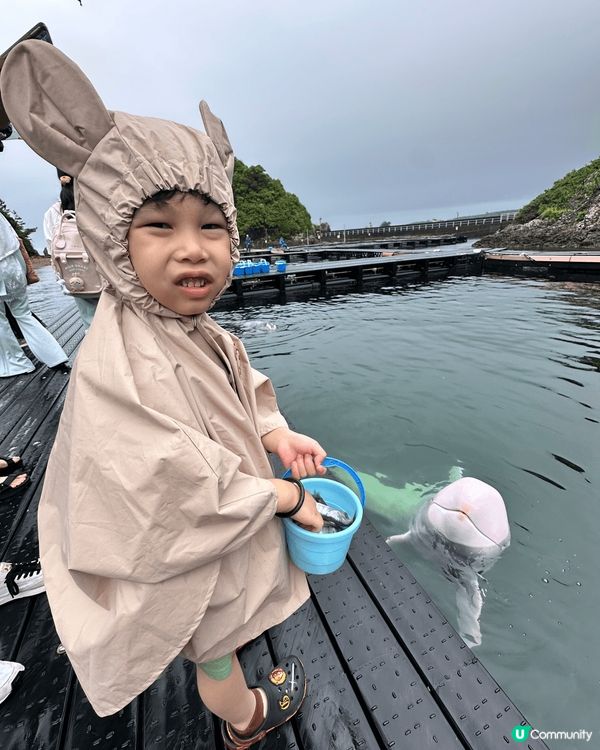 日本海豚博物館，可以為海豚嘅親密體驗，親子旅遊必選。