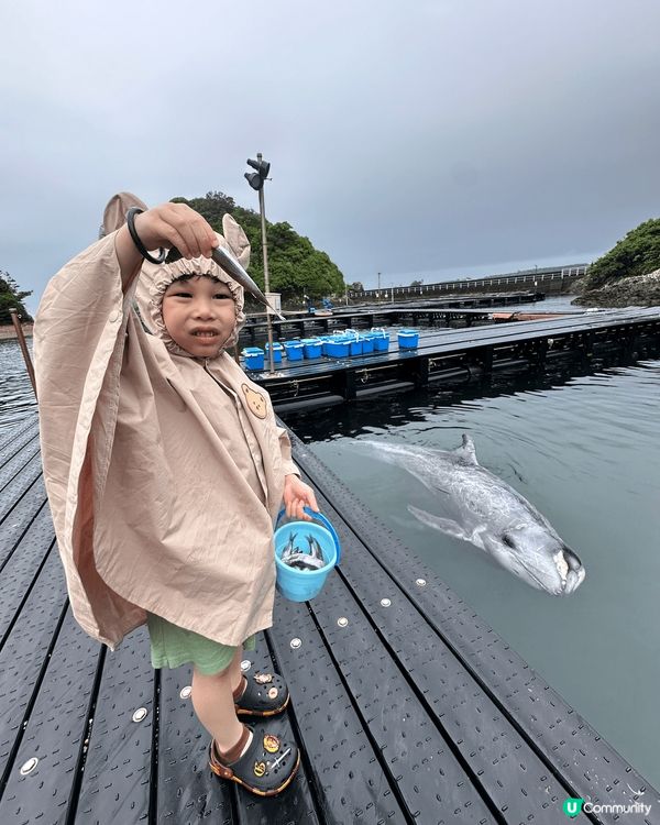 日本海豚博物館，可以為海豚嘅親密體驗，親子旅遊必選。