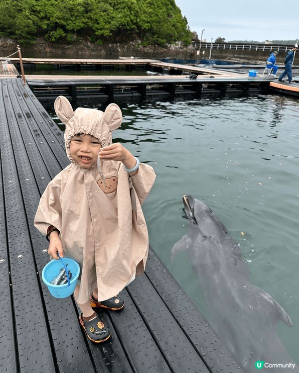 日本海豚博物館，可以為海豚嘅親密體驗，親子旅遊必選。