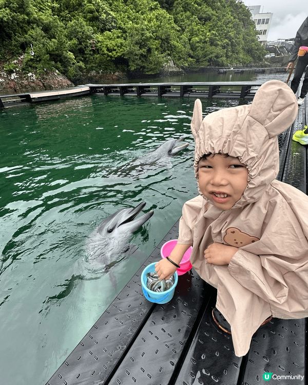 日本海豚博物館，可以為海豚嘅親密體驗，親子旅遊必選。