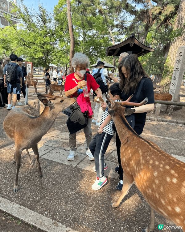 家中一老一嫩第一次去日本旅行，一家人同朋友玩到好累但高興！！