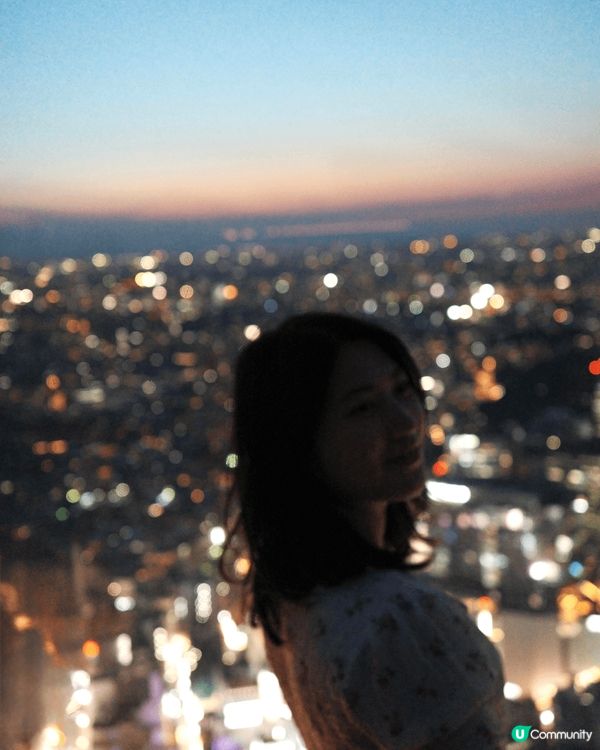 10日之旅由東京的繁華到大阪未來，走訪淺草皮革起源，到銀座感...